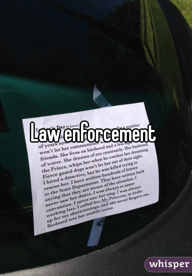 Law enforcement 