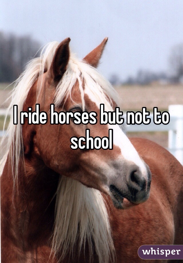 I ride horses but not to school