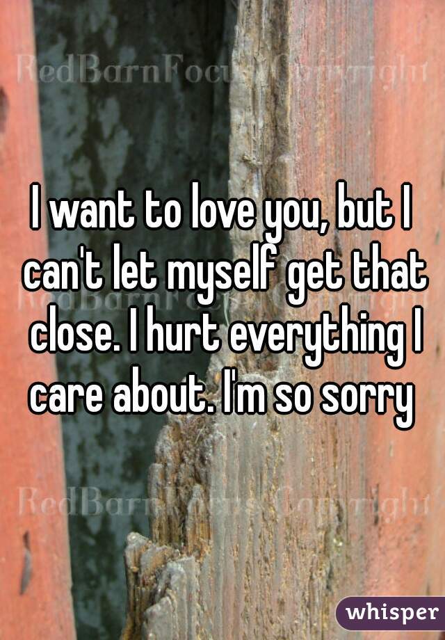 I want to love you, but I can't let myself get that close. I hurt everything I care about. I'm so sorry 