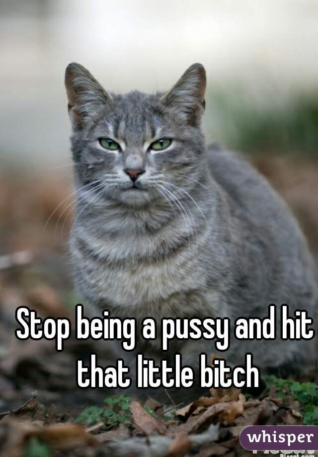 Stop being a pussy and hit that little bitch