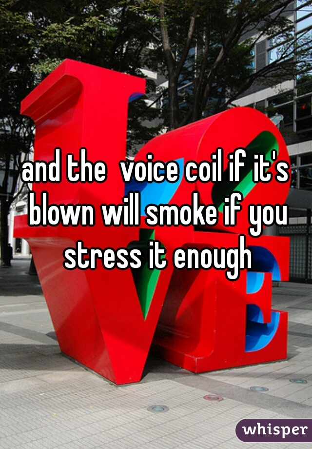 and the  voice coil if it's blown will smoke if you stress it enough