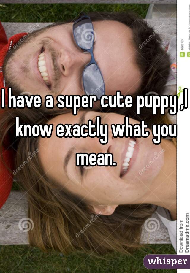 I have a super cute puppy ,I know exactly what you mean.