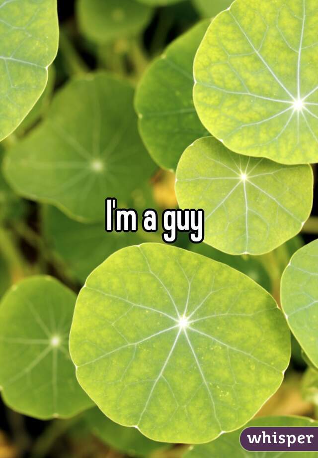 I'm a guy 
