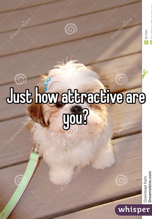 Just how attractive are you?