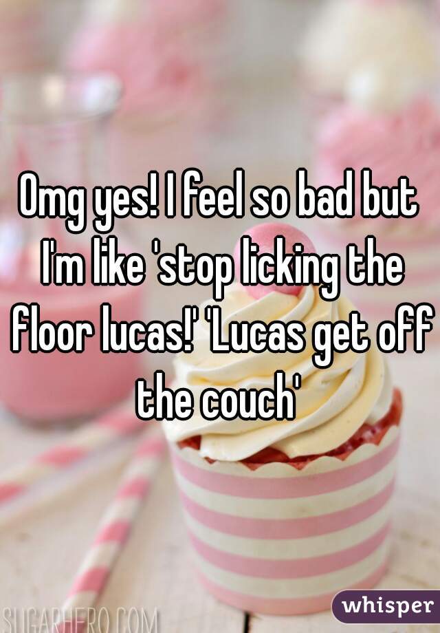 Omg yes! I feel so bad but I'm like 'stop licking the floor lucas!' 'Lucas get off the couch' 