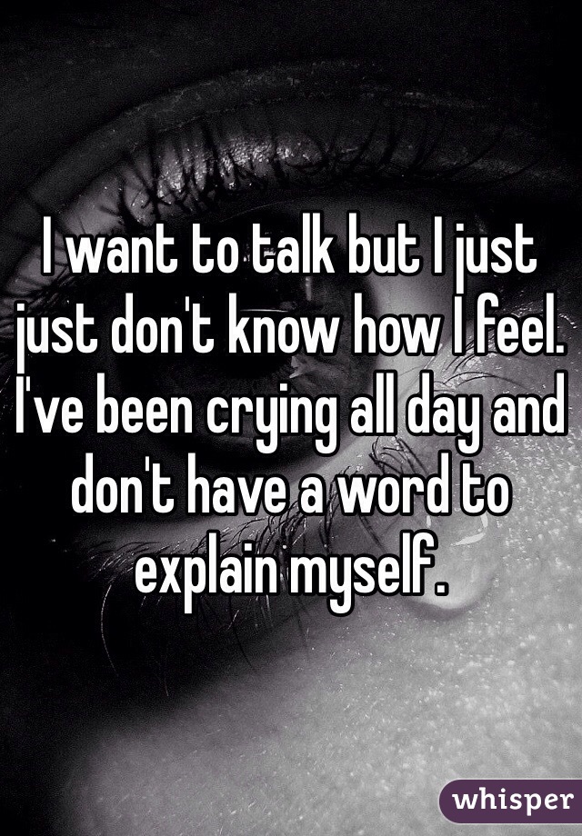 I want to talk but I just just don't know how I feel. I've been crying all day and don't have a word to explain myself. 