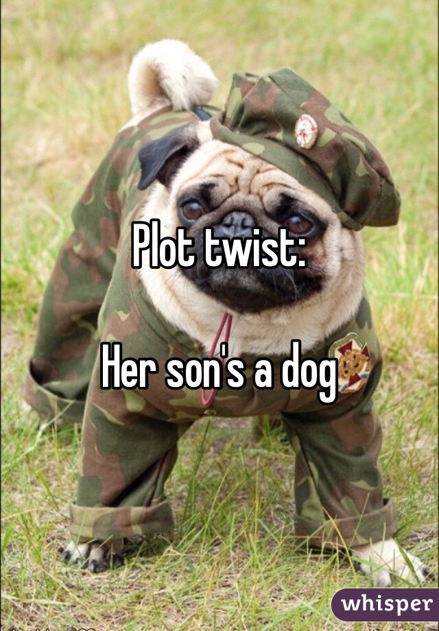 Plot twist:

Her son's a dog