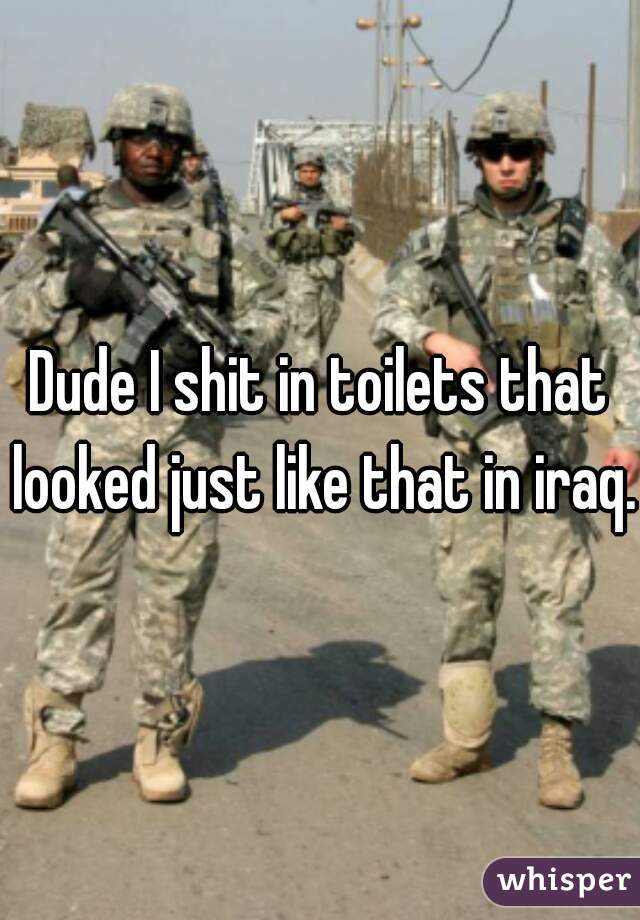 Dude I shit in toilets that looked just like that in iraq.