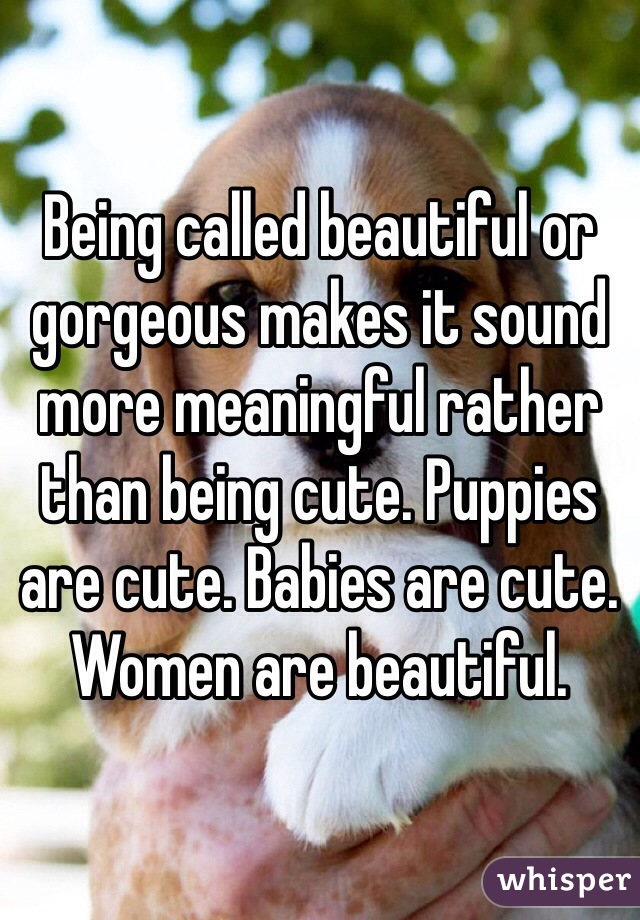 Being called beautiful or gorgeous makes it sound more meaningful rather than being cute. Puppies are cute. Babies are cute. Women are beautiful. 