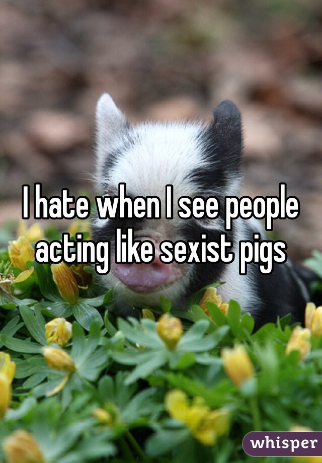 I hate when I see people acting like sexist pigs