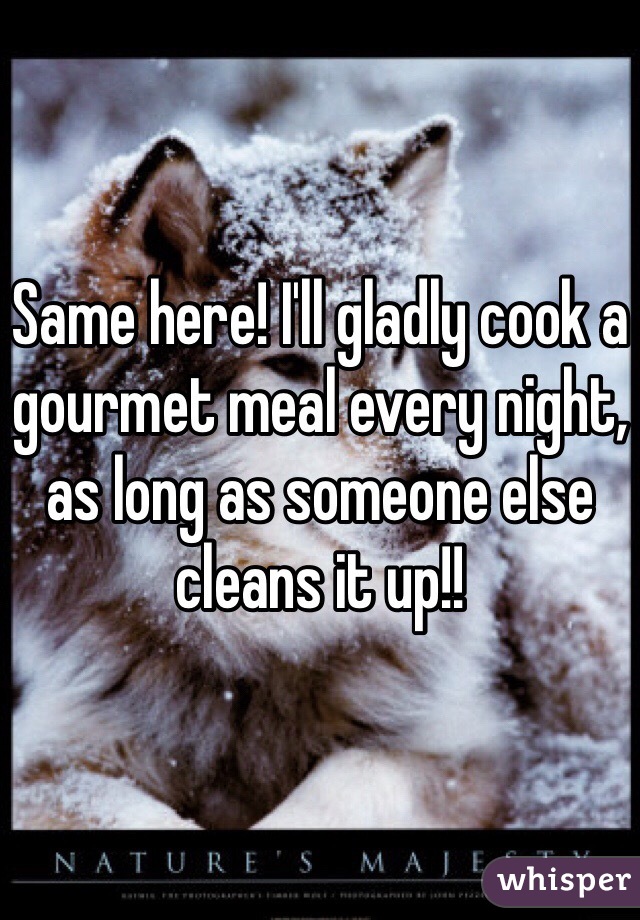 Same here! I'll gladly cook a gourmet meal every night, as long as someone else cleans it up!!