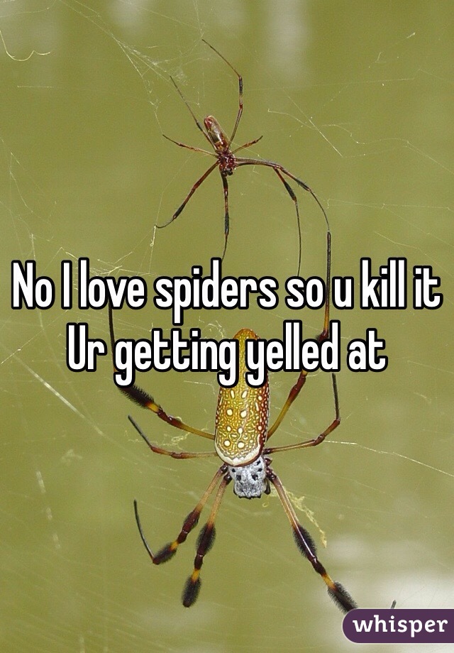 No I love spiders so u kill it Ur getting yelled at