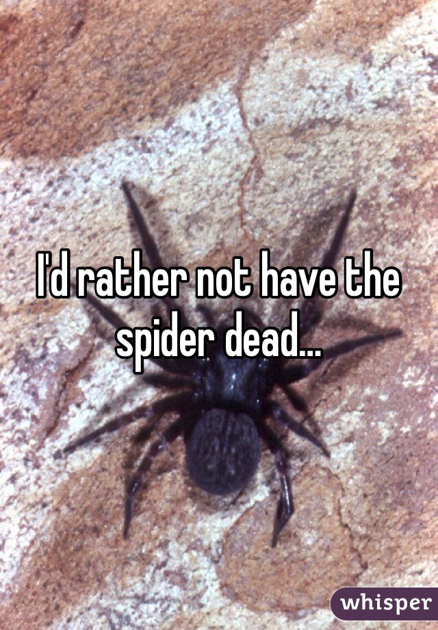 I'd rather not have the spider dead…