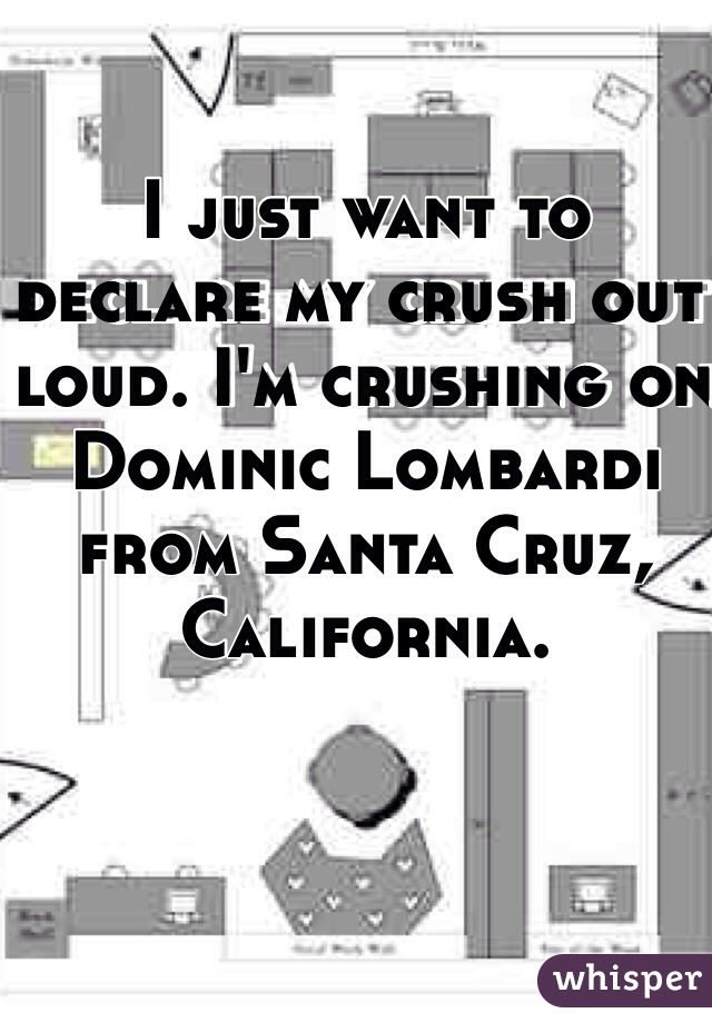 I just want to declare my crush out loud. I'm crushing on Dominic Lombardi from Santa Cruz, California.