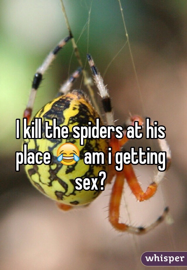 I kill the spiders at his place 😂 am i getting sex?