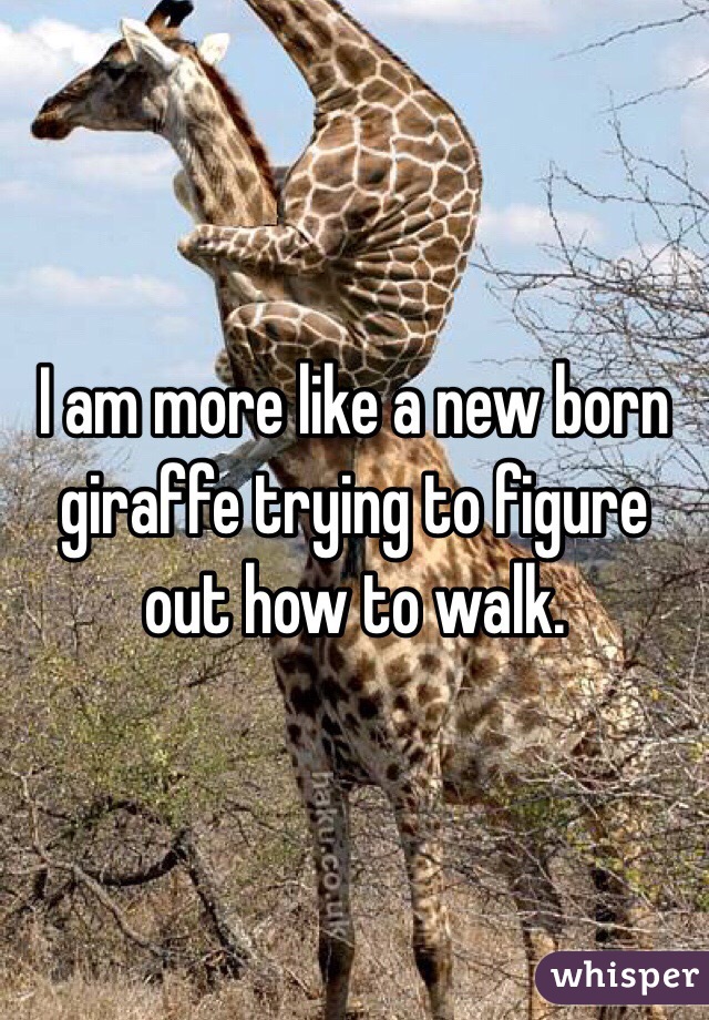 I am more like a new born giraffe trying to figure out how to walk. 