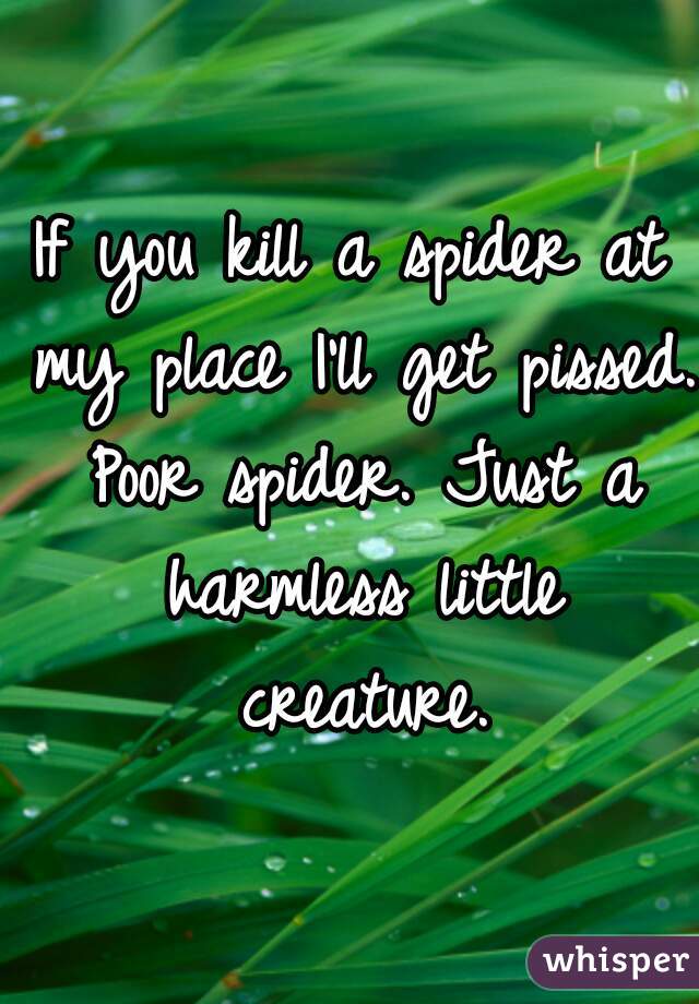 If you kill a spider at my place I'll get pissed. Poor spider. Just a harmless little creature.