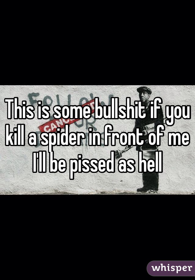 This is some bullshit if you kill a spider in front of me I'll be pissed as hell