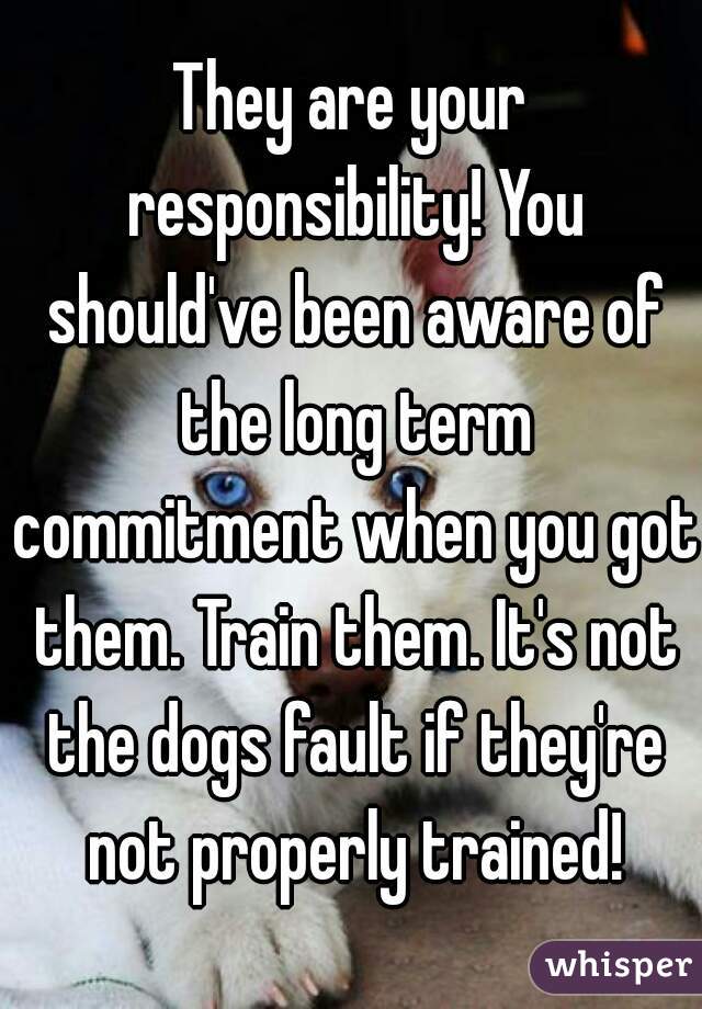 They are your responsibility! You should've been aware of the long term commitment when you got them. Train them. It's not the dogs fault if they're not properly trained!