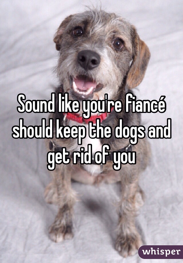 Sound like you're fiancé should keep the dogs and get rid of you