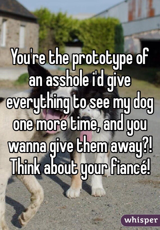 You're the prototype of an asshole i'd give everything to see my dog one more time, and you wanna give them away?! Think about your fiancé!