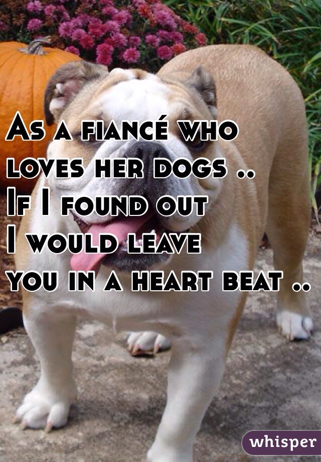 As a fiancé who 
loves her dogs ..
 If I found out
 I would leave
 you in a heart beat .. 