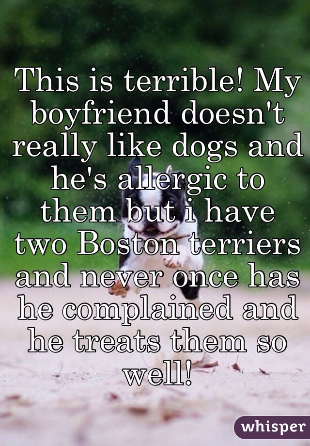 This is terrible! My boyfriend doesn't really like dogs and he's allergic to them but i have two Boston terriers and never once has he complained and he treats them so well! 