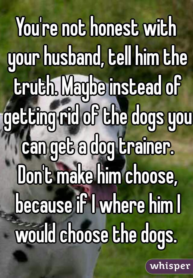 You're not honest with your husband, tell him the truth. Maybe instead of getting rid of the dogs you can get a dog trainer. Don't make him choose, because if I where him I would choose the dogs. 
