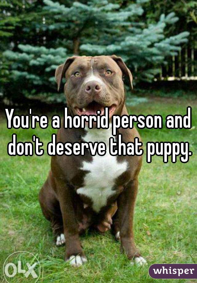 You're a horrid person and don't deserve that puppy.