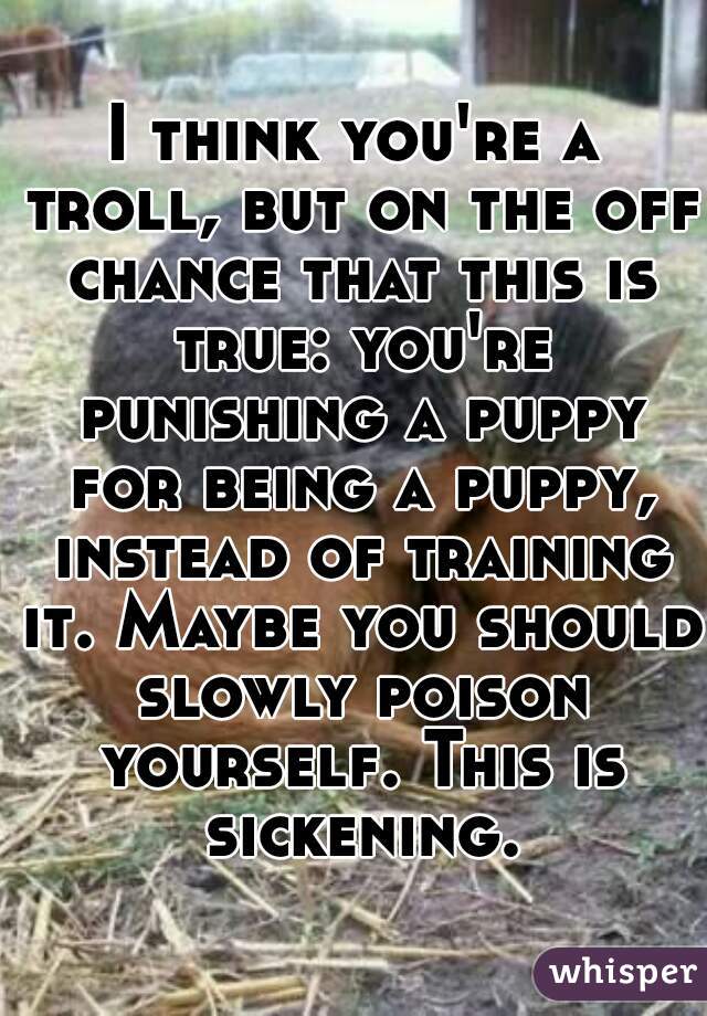 I think you're a troll, but on the off chance that this is true: you're punishing a puppy for being a puppy, instead of training it. Maybe you should slowly poison yourself. This is sickening.