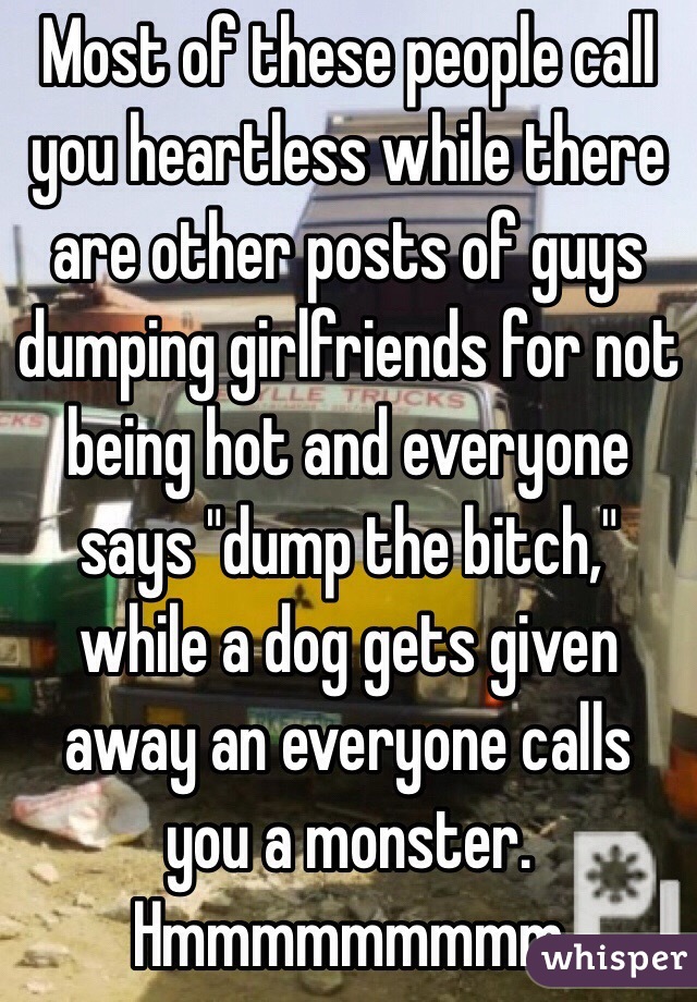Most of these people call you heartless while there are other posts of guys dumping girlfriends for not being hot and everyone says "dump the bitch," while a dog gets given away an everyone calls you a monster. Hmmmmmmmmm
