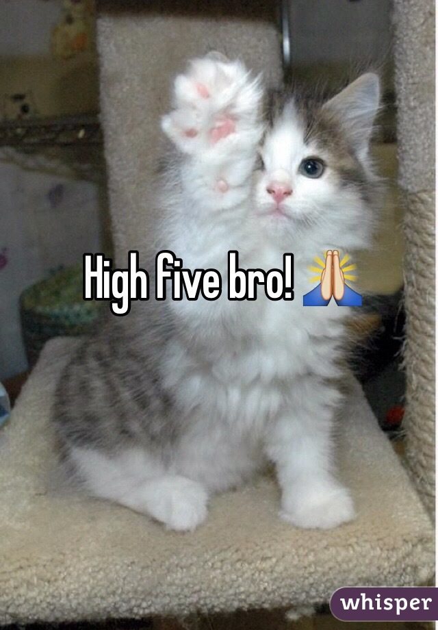 High five bro! 🙏