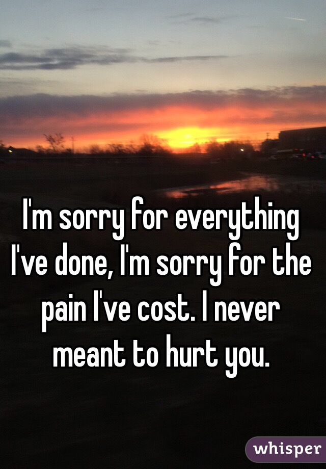 I'm sorry for everything I've done, I'm sorry for the pain I've cost. I never meant to hurt you.