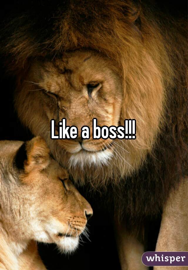 Like a boss!!!