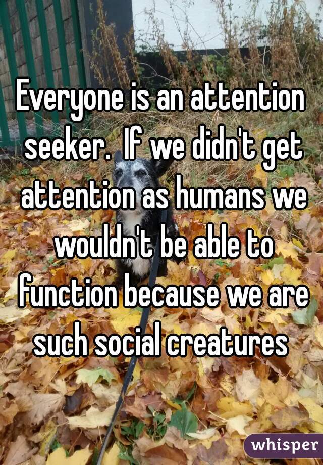 Everyone is an attention seeker.  If we didn't get attention as humans we wouldn't be able to function because we are such social creatures 