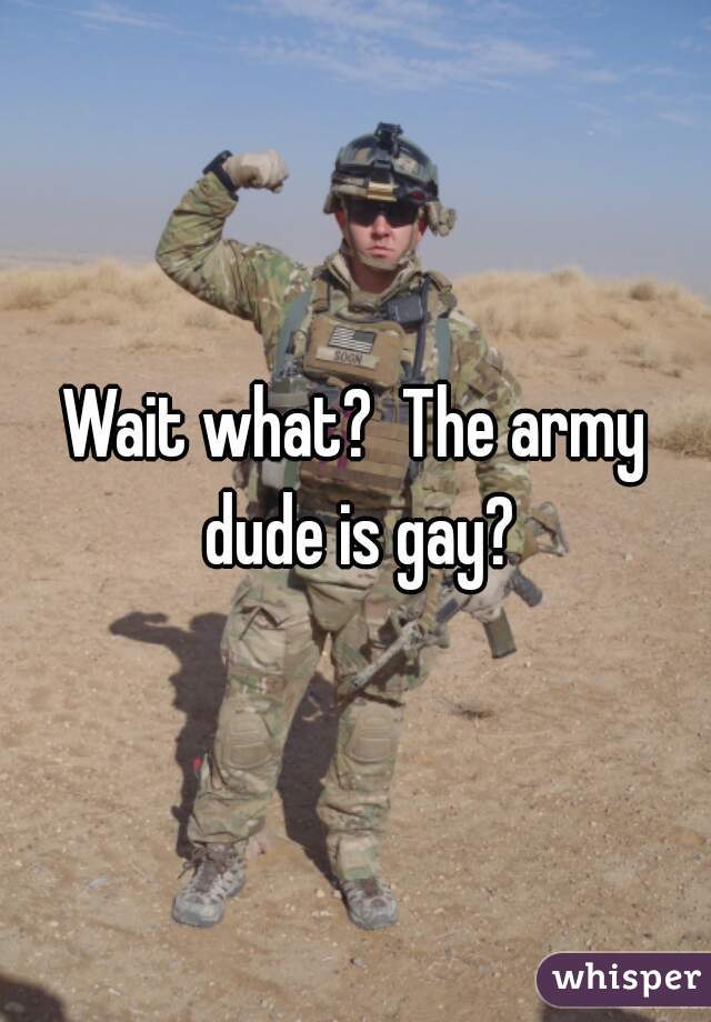 Wait what?  The army dude is gay?