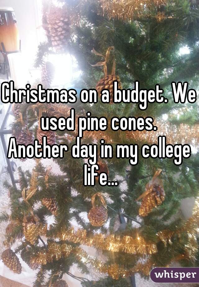 Christmas on a budget. We used pine cones. 
Another day in my college life...
