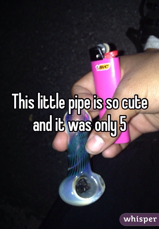 This little pipe is so cute and it was only 5 