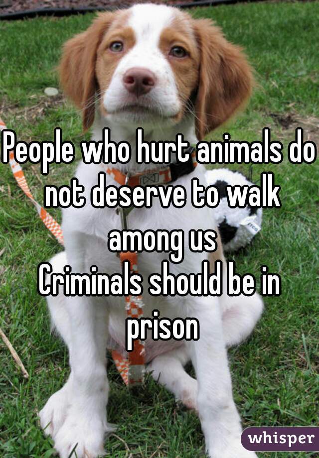 People who hurt animals do not deserve to walk among us
Criminals should be in prison
