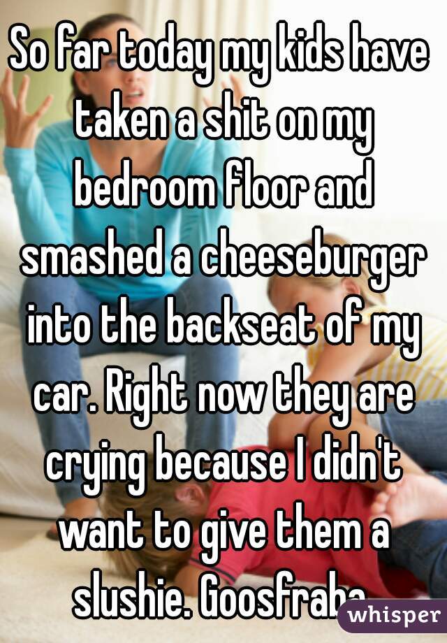 So far today my kids have taken a shit on my bedroom floor and smashed a cheeseburger into the backseat of my car. Right now they are crying because I didn't want to give them a slushie. Goosfraba.