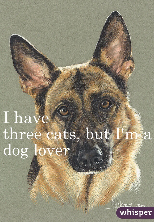 I have
three cats, but I'm a
dog lover 