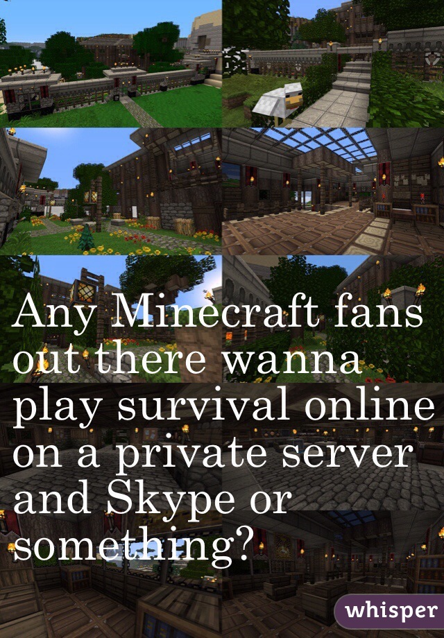 Any Minecraft fans 
out there wanna 
play survival online 
on a private server 
and Skype or 
something?