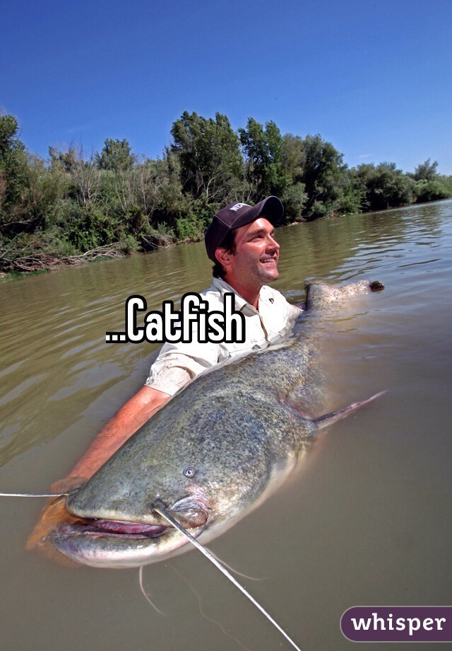 ...............Catfish
