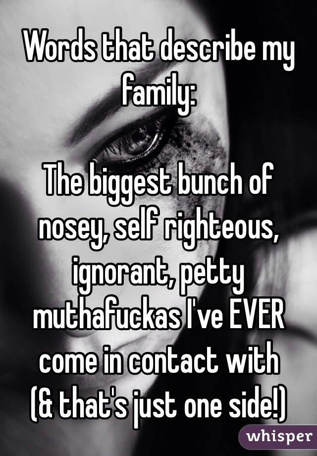 Words that describe my family:

The biggest bunch of nosey, self righteous, ignorant, petty muthafuckas I've EVER come in contact with
(& that's just one side!)