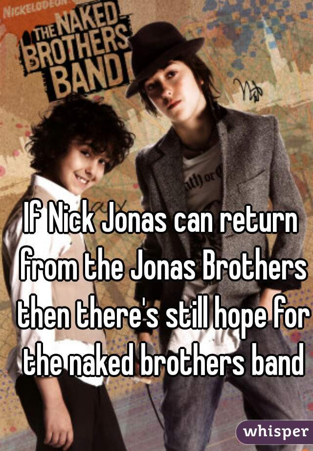 If Nick Jonas can return from the Jonas Brothers then there's still hope for the naked brothers band