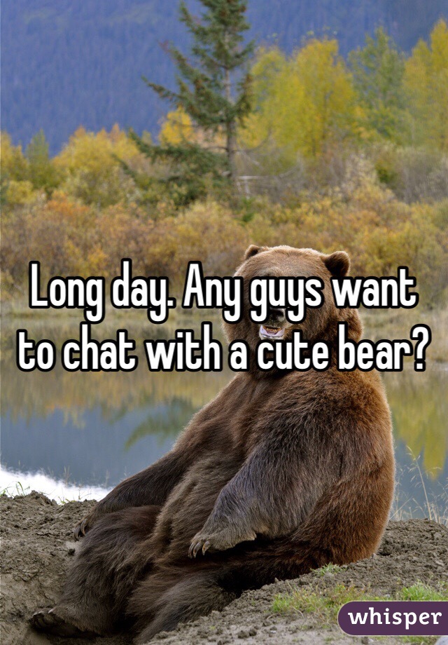 Long day. Any guys want to chat with a cute bear?