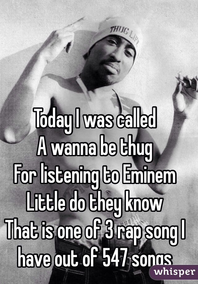 Today I was called
A wanna be thug 
For listening to Eminem 
Little do they know
That is one of 3 rap song I have out of 547 songs