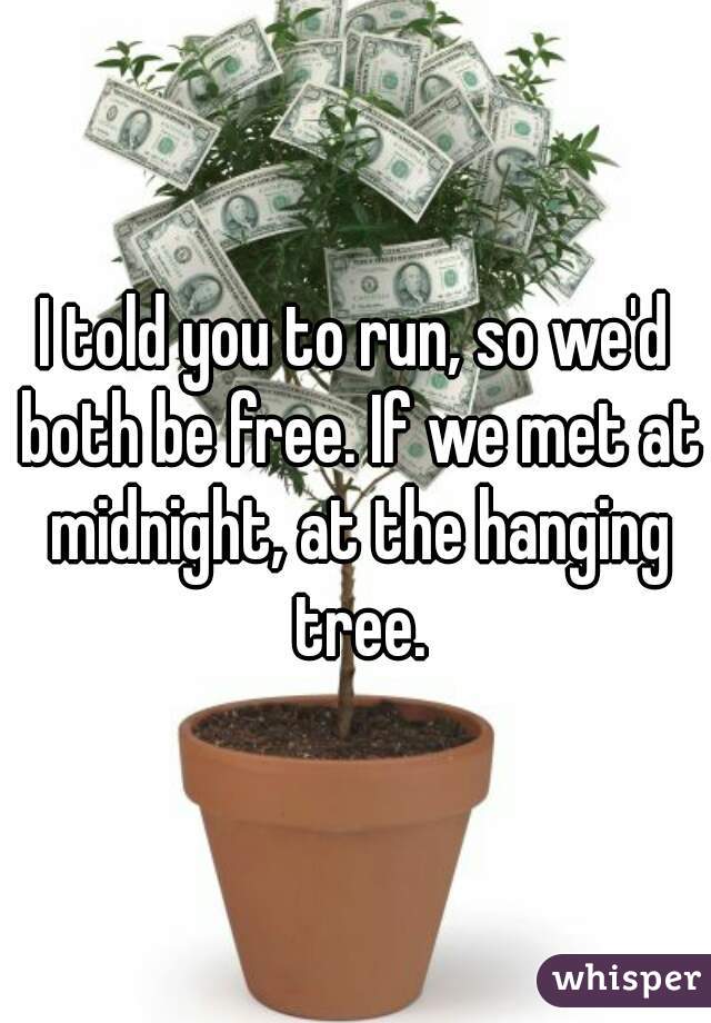 I told you to run, so we'd both be free. If we met at midnight, at the hanging tree.