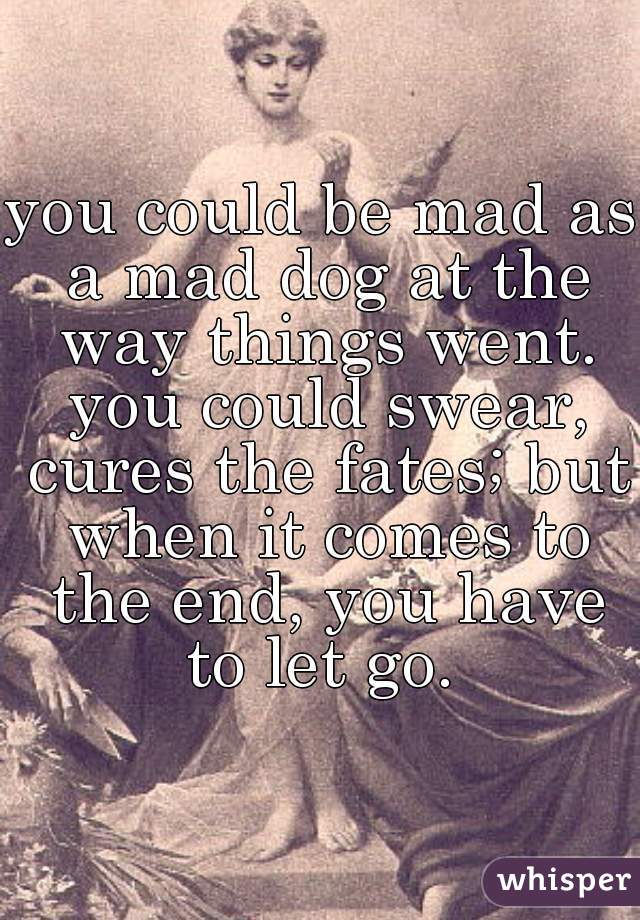 you could be mad as a mad dog at the way things went. you could swear, cures the fates; but when it comes to the end, you have to let go. 
