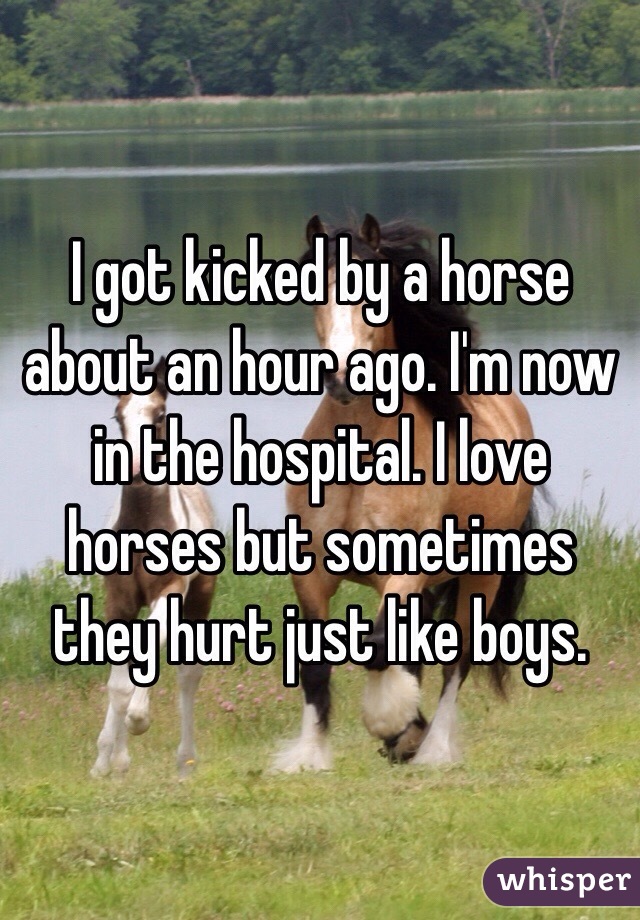 I got kicked by a horse about an hour ago. I'm now in the hospital. I love horses but sometimes they hurt just like boys.